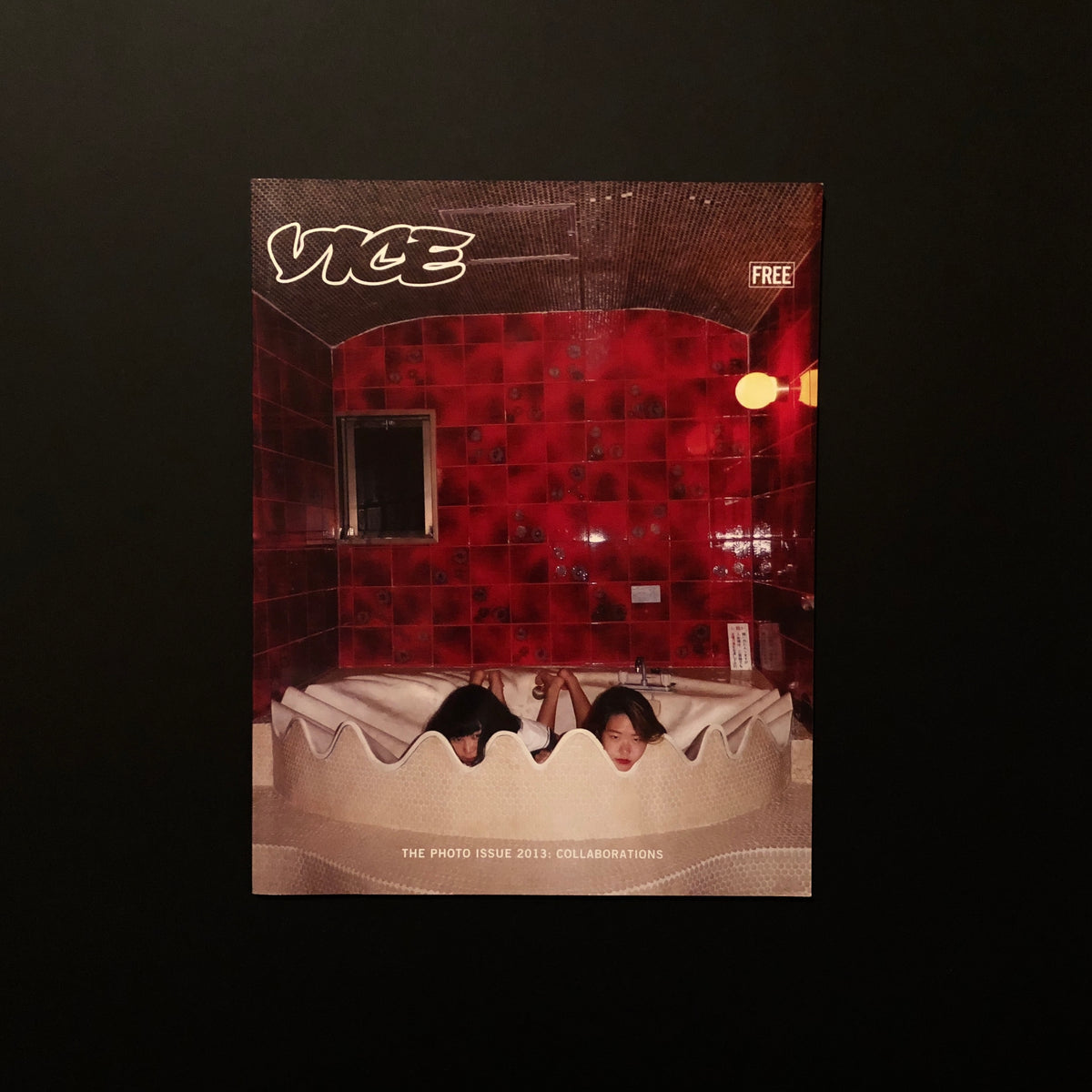 VICE THE PHOTO ISSUE 2013