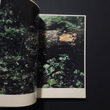 その森の子供 / MUSHROOMS FROM THE FOREST 2011 / ホンマタカシ