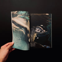 TO magazine 品川区特集号