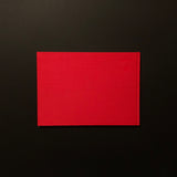 センチメンタルな旅・冬の旅　荒木経惟