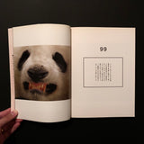 この写真がすごい2008　大竹昭子